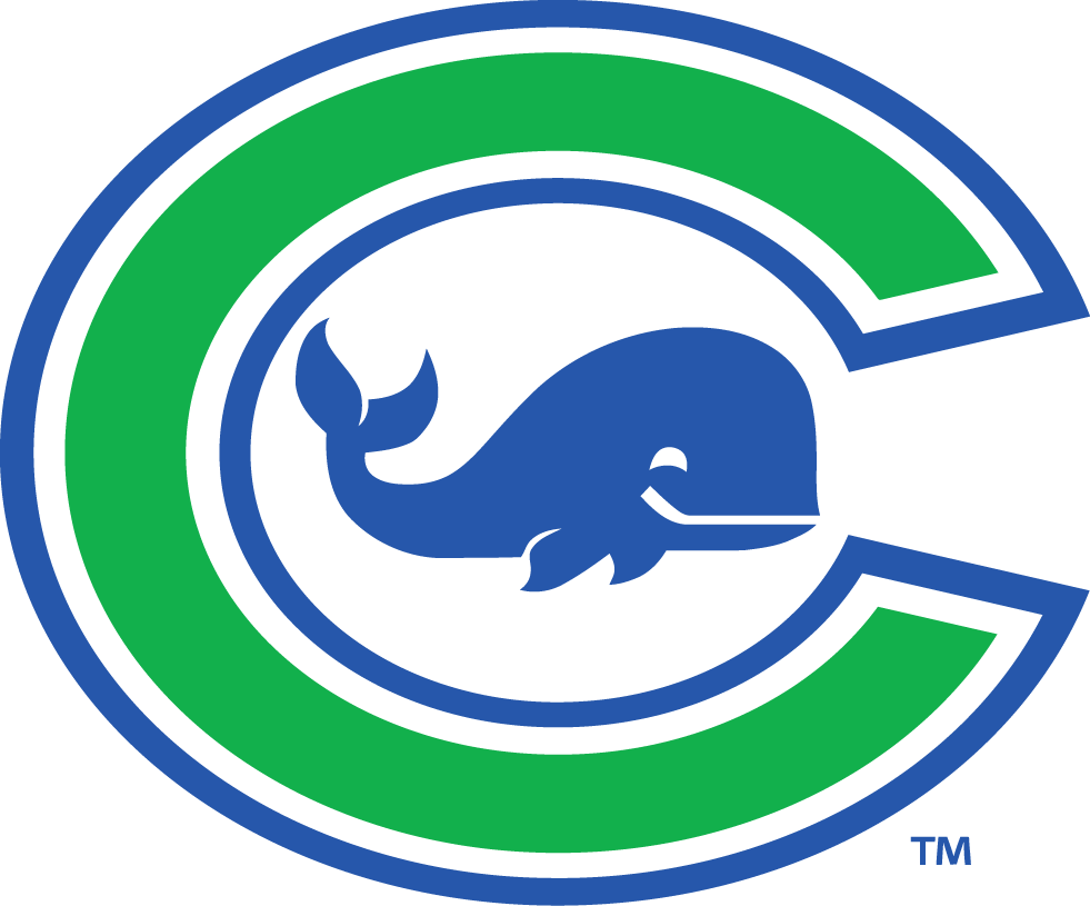 Connecticut Whale 2015-Pres Primary Logo iron on transfers for T-shirts